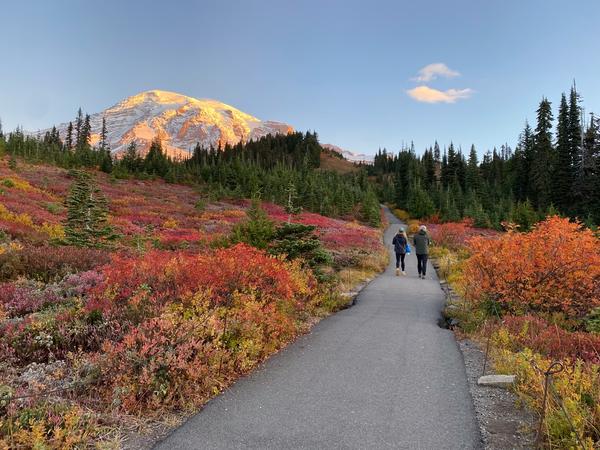 hikers at mount rainier with fall colors hikers at mount rainier with fall colors