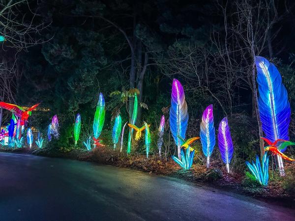 wildlanterns an enchanting winter light show at seattles woodland park zoo wildlanterns an enchanting winter light show at seattles woodland park zoo