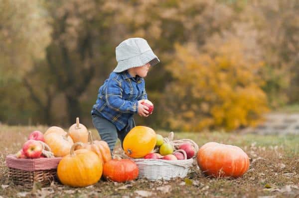 toddler enjoying=harvest festival celebration toddler enjoying=harvest festival celebration